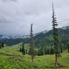 tosamaidan valley