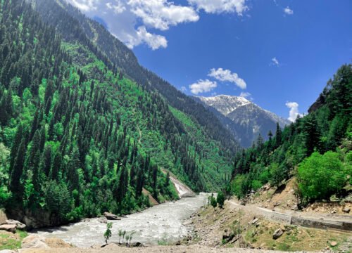 Budget Kashmir Tours